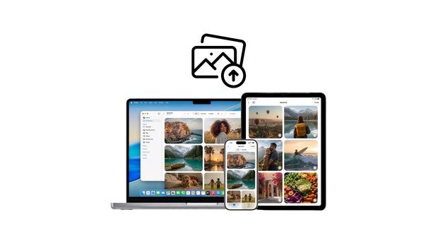 2. Upload your Photos